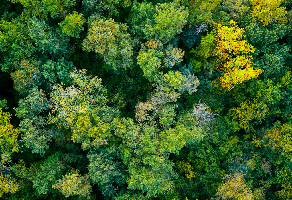 Nonwoven Product Development for Sustainable Futures